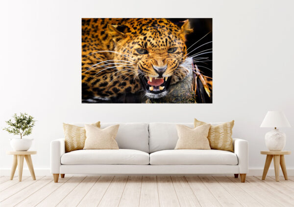Leopard Roaring Stretch Canvas High Quality Wall Arts - Ready To Hang