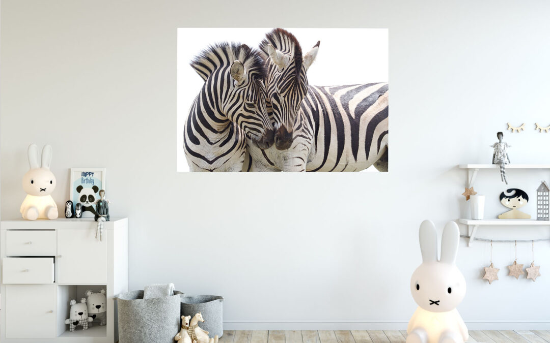 Zebras Love Painting Stretch Canvas High Quality Wall Arts – Ready To Hang