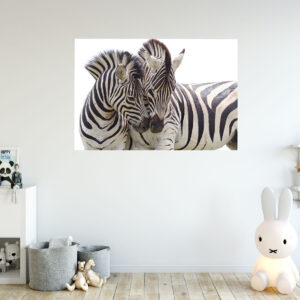 Zebras Love Painting Stretch Canvas High Quality Wall Arts - Ready To Hang