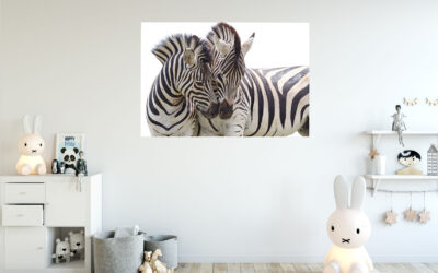 Zebras Love Painting Stretch Canvas High Quality Wall Arts – Ready To Hang