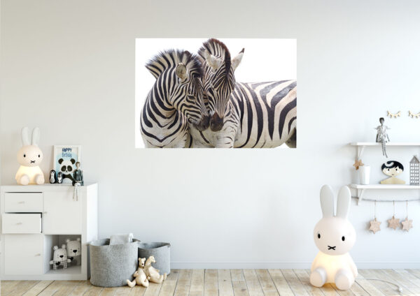 Zebras Love Painting Stretch Canvas High Quality Wall Arts - Ready To Hang