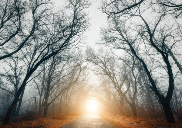 Black & White Scenery Sunset Stretch Canvas High Quality Wall Arts - Ready To Hang (Copy) - Image 2