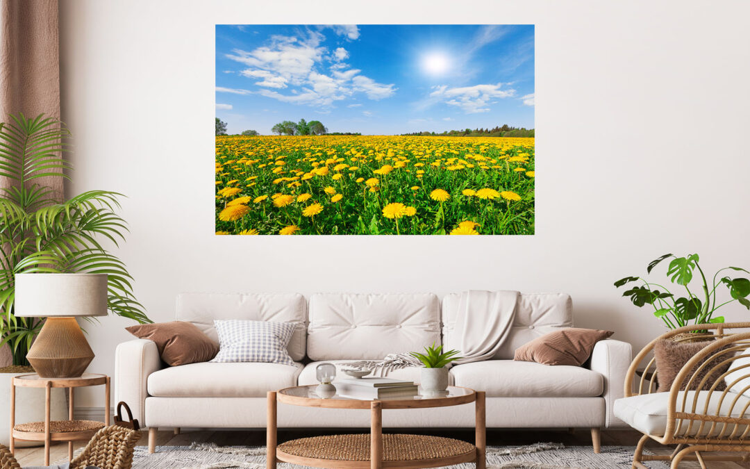 Flower Field Sunrise Stretch Canvas High Quality Wall Arts – Ready To Hang