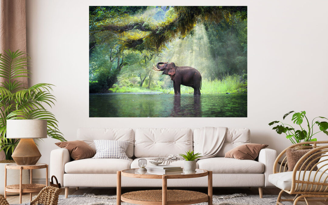 Elephant Stretch Canvas High Quality Wall Arts – Ready To Hang