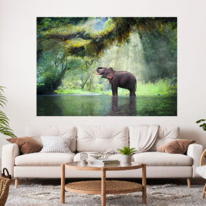 Elephant Stretch Canvas High Quality Wall Arts - Ready To Hang