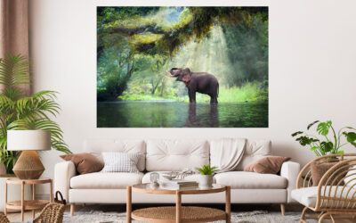 Elephant Stretch Canvas High Quality Wall Arts – Ready To Hang