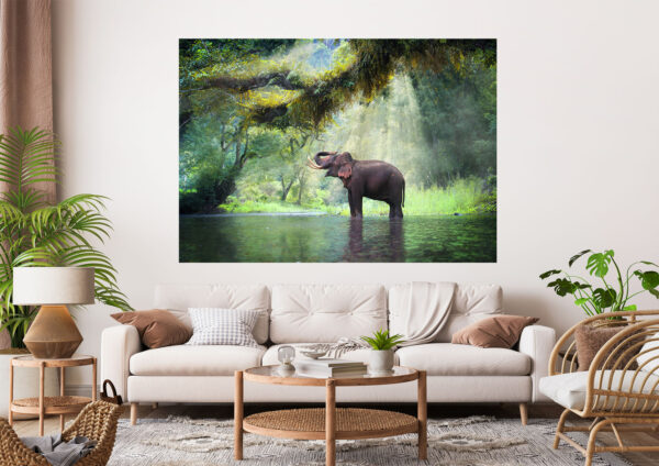 Elephant Stretch Canvas High Quality Wall Arts - Ready To Hang