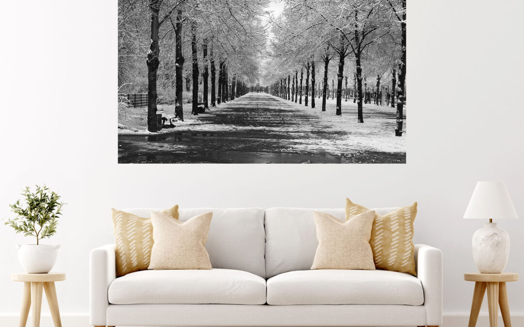 Black & White Scenery Stretch Canvas High Quality Wall Arts – Ready To Hang