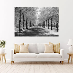 Black & White Scenery Stretch Canvas High Quality Wall Arts - Ready To Hang