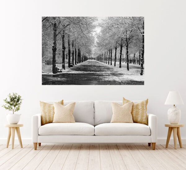 Black & White Scenery Stretch Canvas High Quality Wall Arts - Ready To Hang