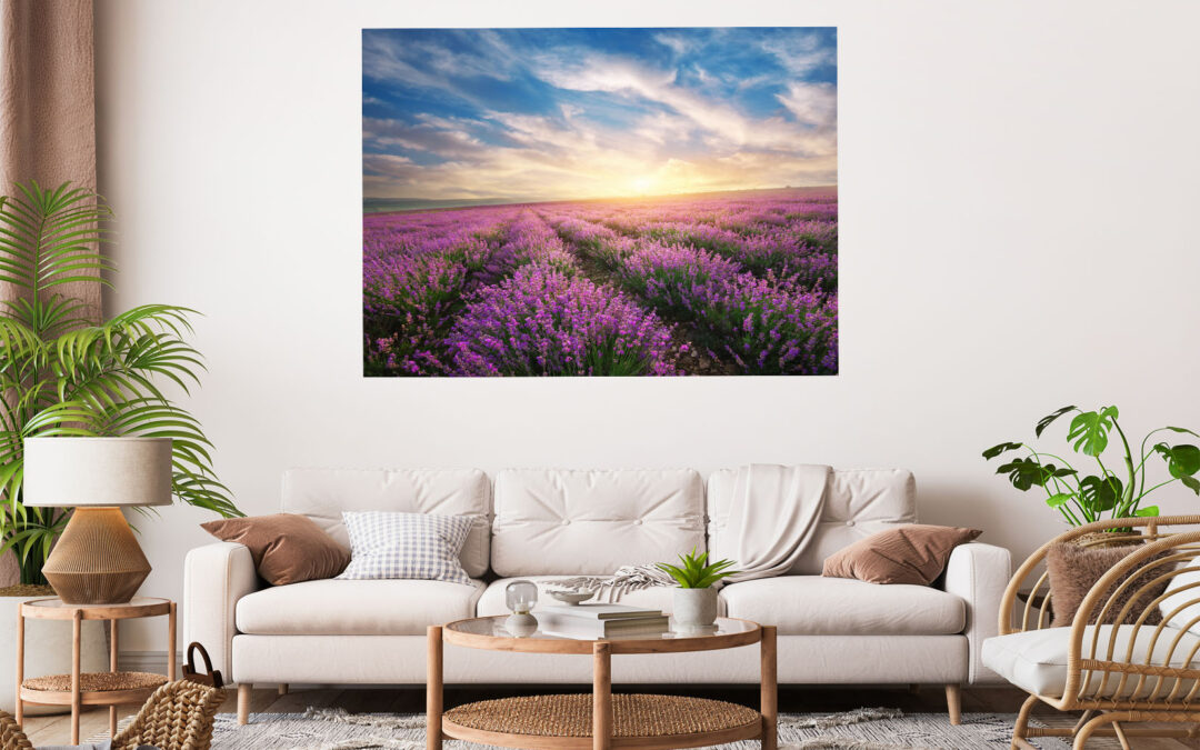 Lavender Field Sunset Stretch Canvas High Quality Wall Arts – Ready To Hang
