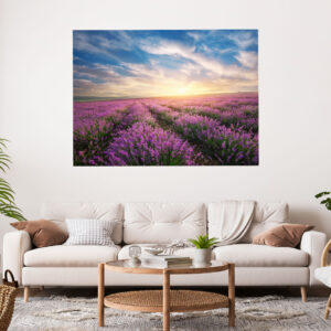 Lavender Field Sunset Stretch Canvas High Quality Wall Arts - Ready To Hang