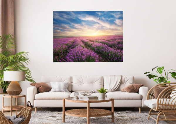 Lavender Field Sunset Stretch Canvas High Quality Wall Arts - Ready To Hang