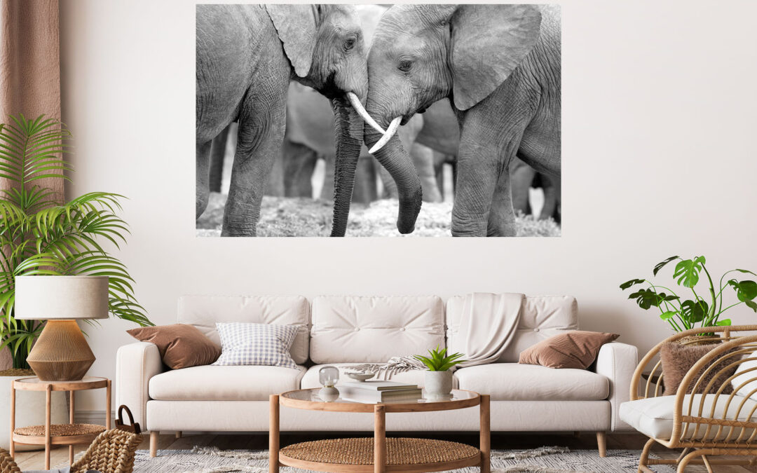 Elephants Love Stretch Canvas High Quality Wall Arts – Ready To Hang