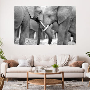 Elephants Love Stretch Canvas High Quality Wall Arts - Ready To Hang