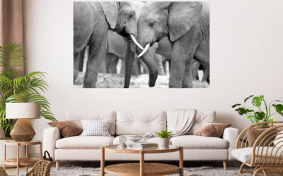 Elephants Love Stretch Canvas High Quality Wall Arts – Ready To Hang