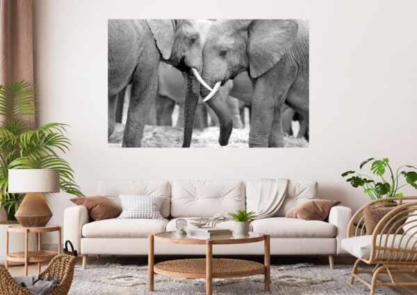 Elephants Love Stretch Canvas High Quality Wall Arts - Ready To Hang