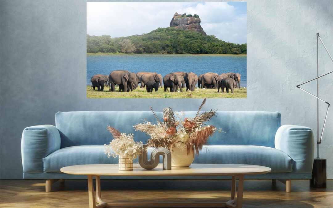 Herd Elephants Stretch Canvas High Quality Wall Arts – Ready To Hang