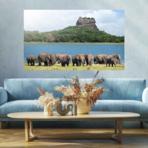 Herd Elephants Stretch Canvas High Quality Wall Arts - Ready To Hang
