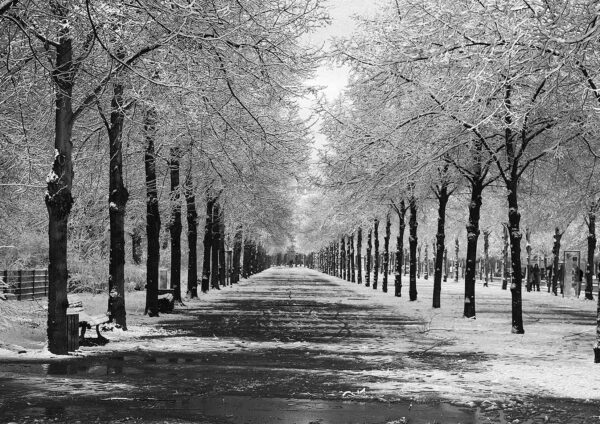 Black & White Scenery Stretch Canvas High Quality Wall Arts - Ready To Hang - Image 2