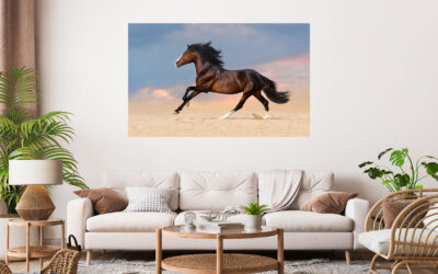 Running Horse Stretch Canvas High Quality Wall Arts – Ready To Hang