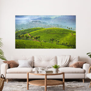 Green Field Stretch Canvas High Quality Wall Arts - Ready To Hang