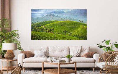 Green Field Stretch Canvas High Quality Wall Arts – Ready To Hang