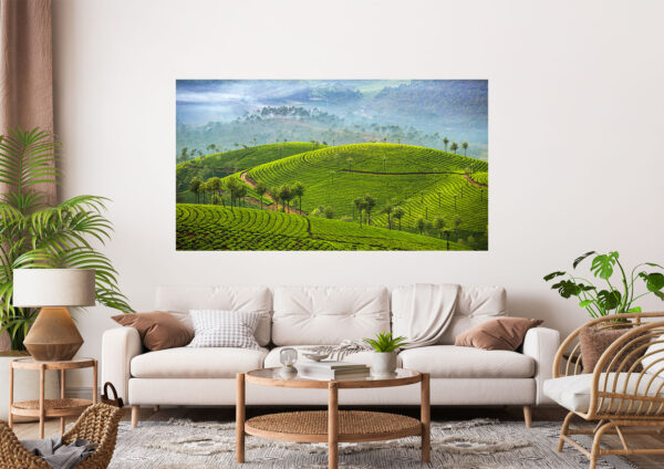 Green Field Stretch Canvas High Quality Wall Arts - Ready To Hang