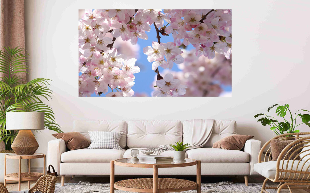 Cherry Blossoms Stretch Canvas High Quality Wall Arts – Ready To Hang