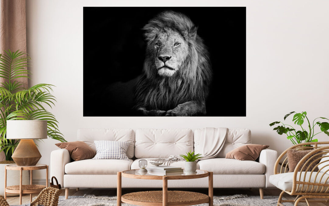 Lion Black & White Stretch Canvas High Quality Wall Arts – Ready To Hang