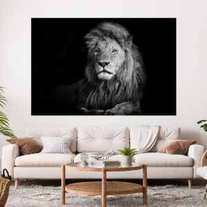 Lion Black & White Stretch Canvas High Quality Wall Arts - Ready To Hang