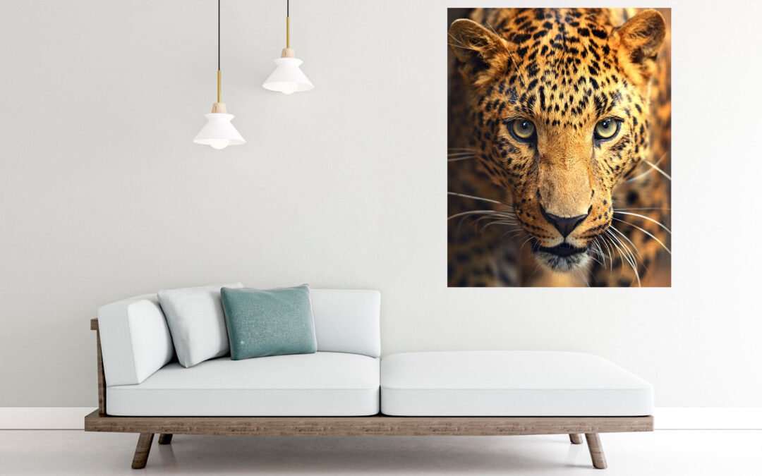 Leopard Photograph Stretch Canvas High Quality Wall Arts – Ready To Hang