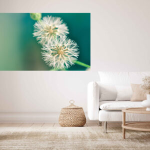 Dandelion Flowers Stretch Canvas High Quality Wall Arts - Ready To Hang