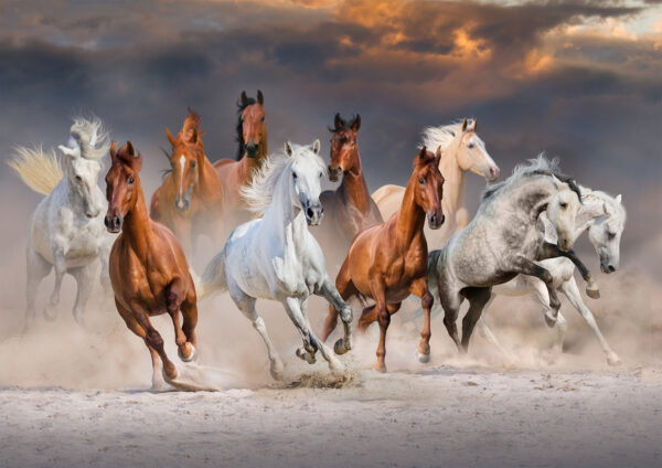 Herd Of Horses Painting Stretch Canvas High Quality Wall Arts - Ready To Hang - Image 2