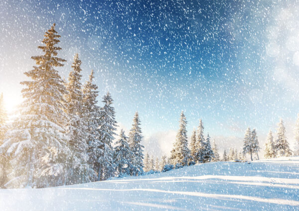 Snow Sunrise Pine Trees Stretch Canvas High Quality Wall Arts - Ready To Hang - Image 2