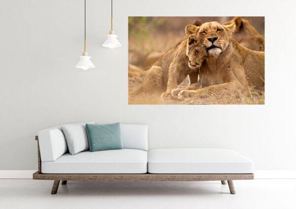 Lion Love Painting Stretch Canvas High Quality Wall Arts - Ready To Hang