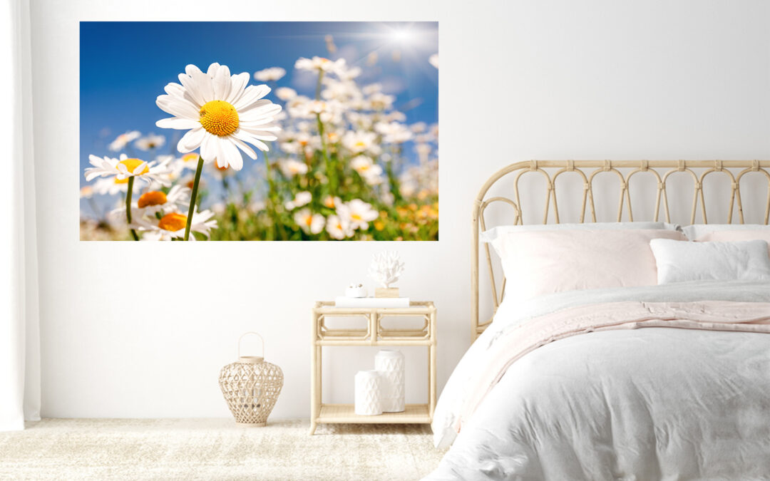Flower Daisy Floral Sunrise Stretch Canvas High Quality Wall Arts – Ready To Hang