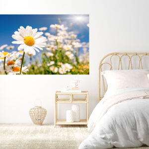 Flower Daisy Floral Sunrise Stretch Canvas High Quality Wall Arts - Ready To Hang