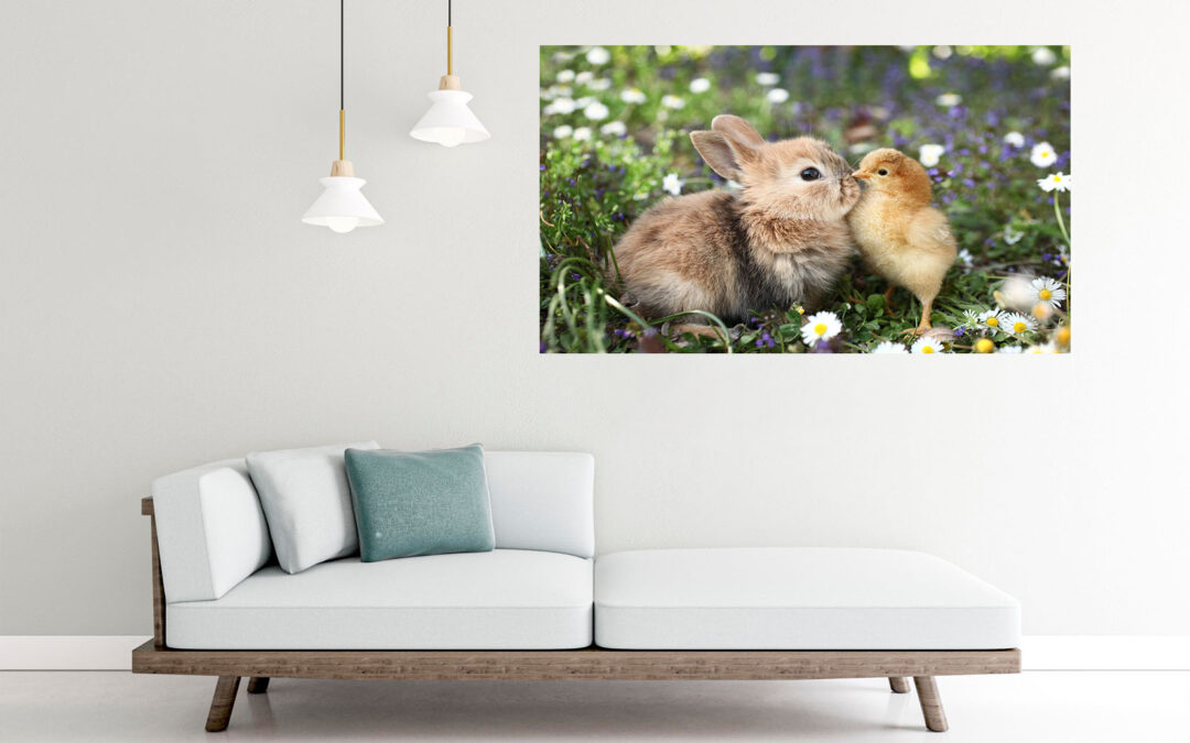 Rabbit & Bird Photograph Stretch Canvas High Quality Wall Arts – Ready To Hang
