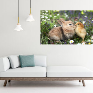 Rabbit & Bird Photograph Stretch Canvas High Quality Wall Arts - Ready To Hang