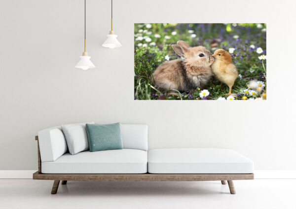 Rabbit & Bird Photograph Stretch Canvas High Quality Wall Arts - Ready To Hang