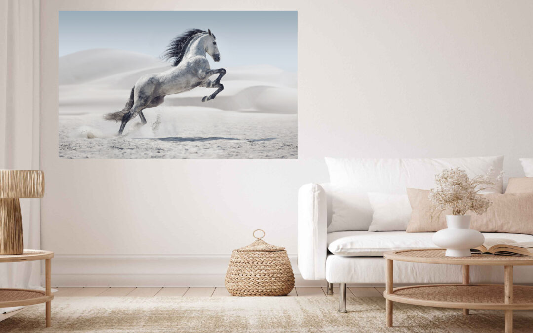 White Horse Stretch Canvas High Quality Wall Arts – Ready To Hang