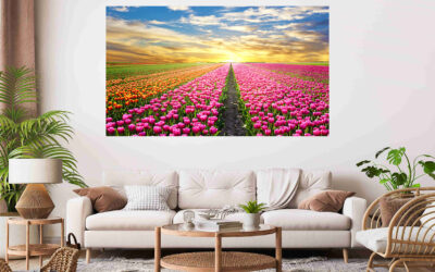 Tulips Field Scenery Sunrise Stretch Canvas High Quality Wall Arts – Ready To Hang