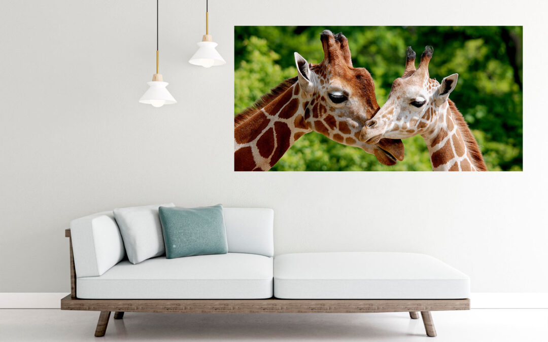 Giraffes Love Stretch Canvas High Quality Wall Arts – Ready To Hang