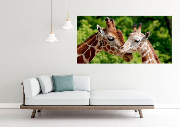 Giraffes Love Stretch Canvas High Quality Wall Arts - Ready To Hang