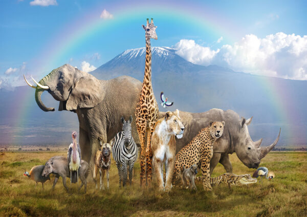 Animals Painting Stretch Canvas High Quality Wall Arts - Ready To Hang - Image 2