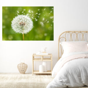 Dandelion Flower Stretch Canvas High Quality Wall Arts - Ready To Hang