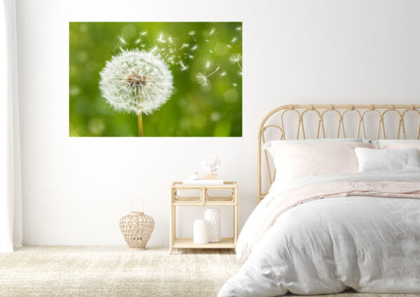 Dandelion Flower Stretch Canvas High Quality Wall Arts - Ready To Hang