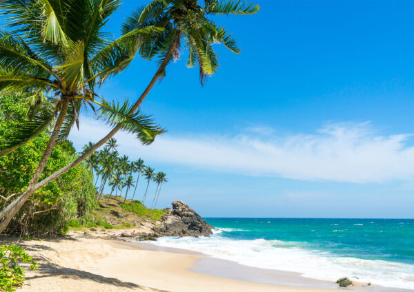 Beautiful Beach Blue Sky Green sea Stretch Canvas High Quality Wall Arts - Ready To Hang - Image 2