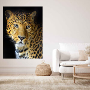 Leopard Portrait Stretch Canvas High Quality Wall Arts - Ready To Hang